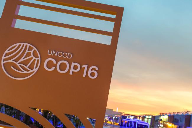 COP 16 sunset 