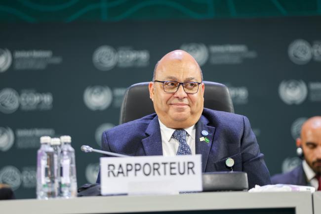 Ahmed Ali Abdelati Ahmed, Egypt
