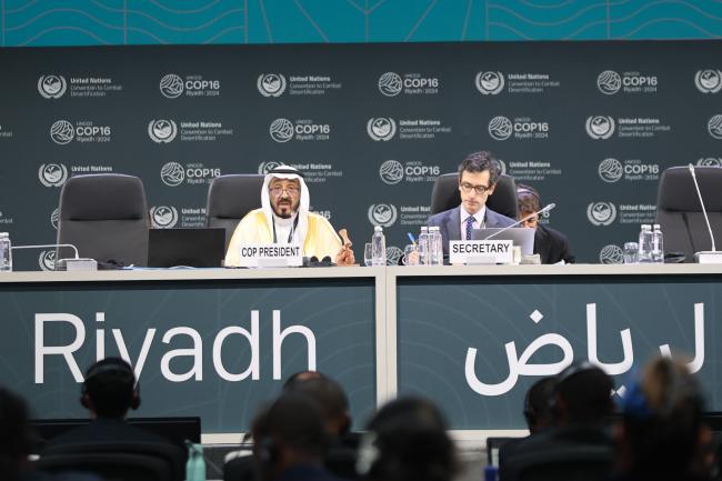 A view of he dais during the plenary 