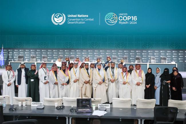 Members of COP 16 Presidency 