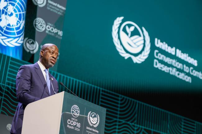 Alain-Richard Donwahi, COP15 President 