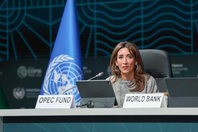 Shaimaa Al-Sheiby, OPEC Fund 