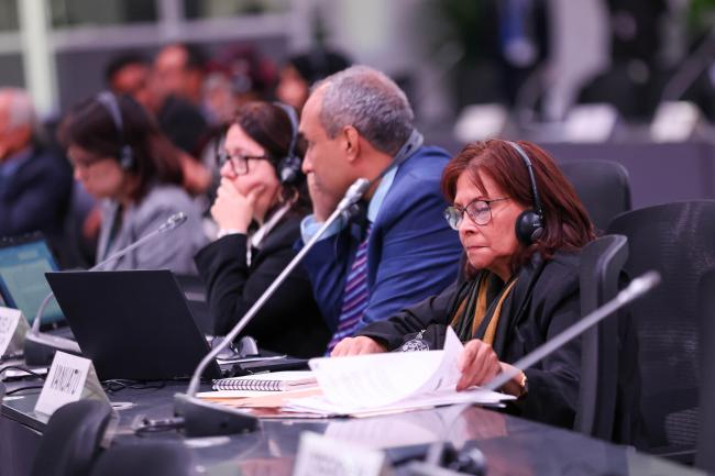 Delegates reviewing documents