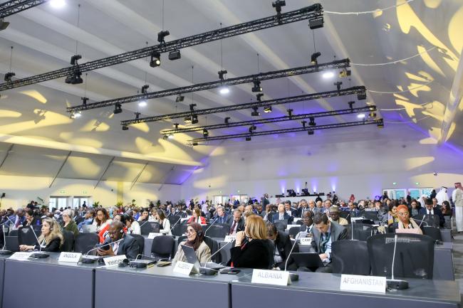 A view of the room during the Ministerial Dialogue 