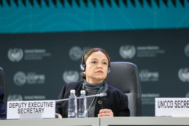 Andrea Meza, Deputy Executive Secretary, UNCCD