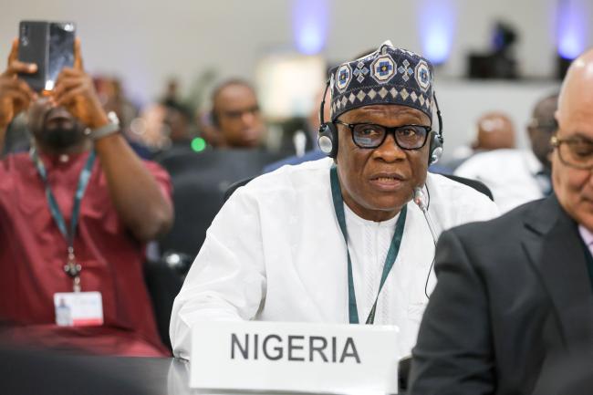 Abubakar Momoh, Minister of Niger Delta Development, Nigeria 