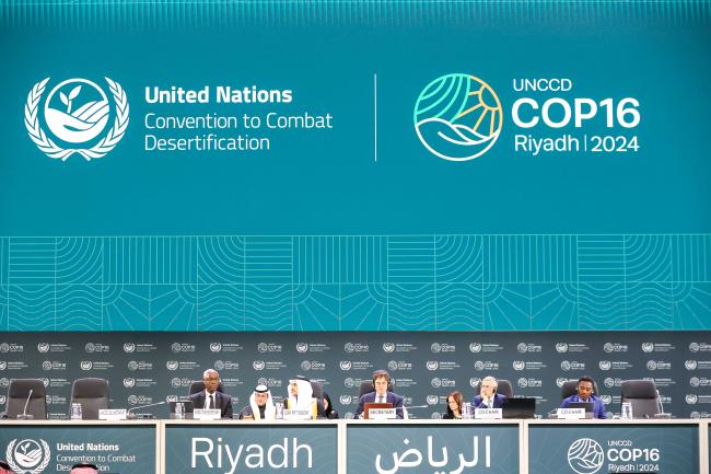 A view of the Panel Ministerial Dialogue 