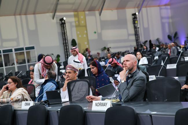Delegates during the Ministerial Dialogue
