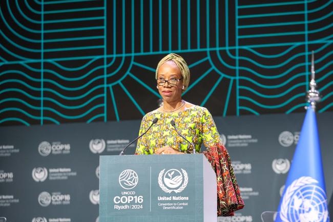 Ugochi Daniels, IOM 