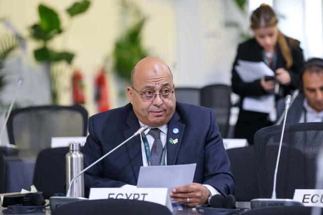 Ahmed Ali Abdelati Ahmed, Egypt