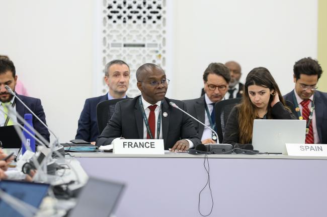 Thani Mohamed Soilihi, Minister of State for Francophonie and International Partnerships, France 