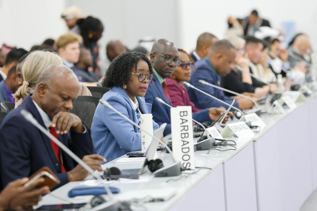 Arcadie Svetlana Minguengui Ndomba, Minister of Environment , Climate and Human-Wildlife Conflict, Gabon