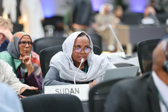 Hana Hamadalla Mohamed
