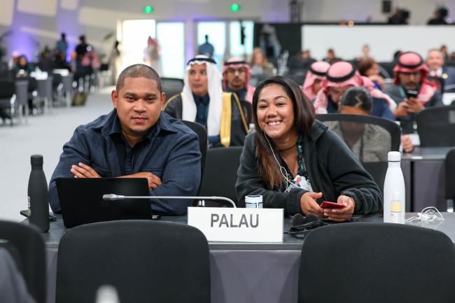 Delegates from Palau 