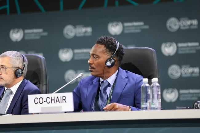 Co-chair Adrian Ryan Forde, Barbados 