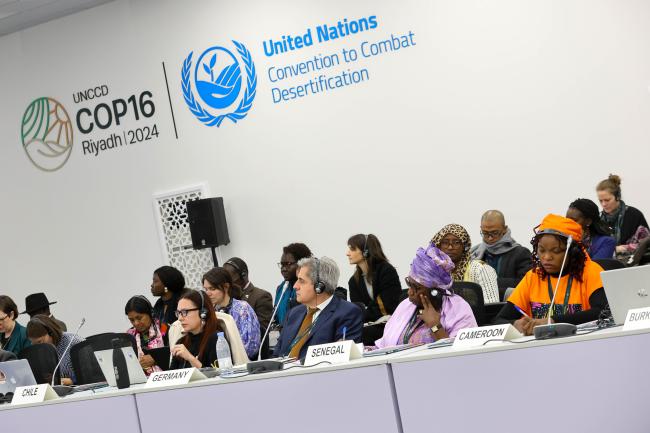 View of the room during the Gender Caucus