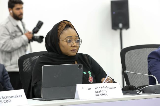 Imaan Sulaiman-Ibrahim, Minister of Women Affairs and Social Development, Nigeria