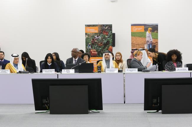 View of the panel during the Gender Caucus