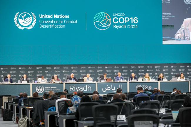 View of the room during the Joint CRIC & CST plenary