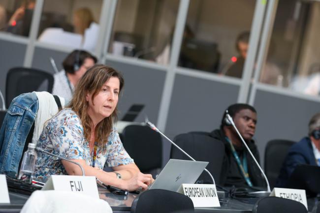 Cristina de Avila, EU