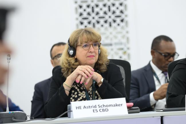 Astrid Schomaker, Executive Secretary, Convention on Biological Diversity (CBD) 
