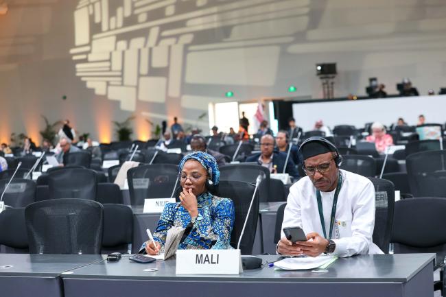 Delegates from Mali 