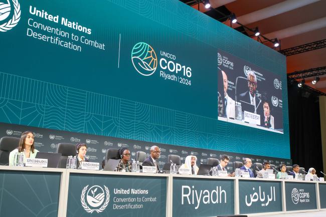 A view of the panel