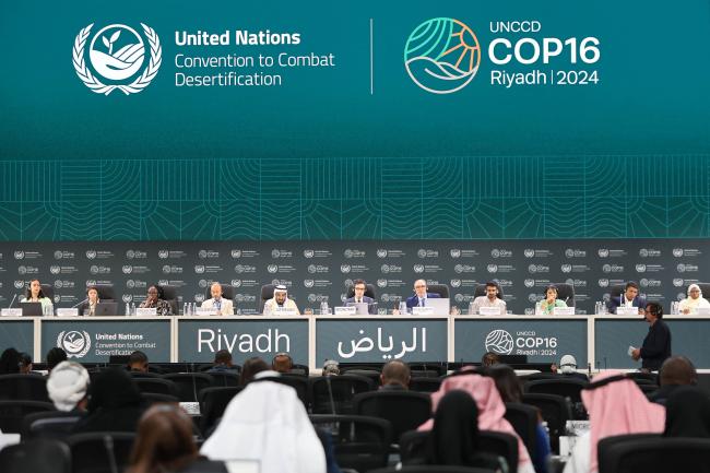 A view of the panel during the Open Dialogue Session 