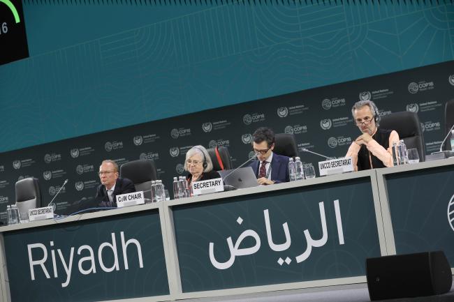 View of the panel during the COW session