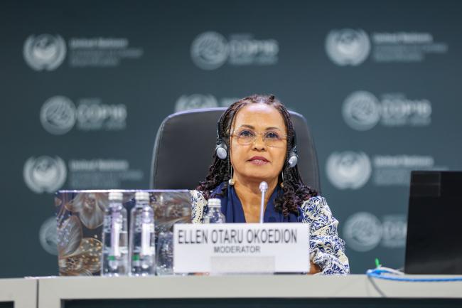 Ellen Otaru Okoedion, Moderator 