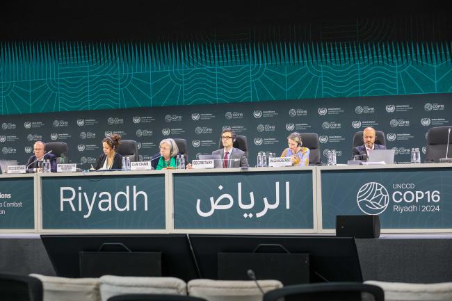 View of the panel during the COW session 