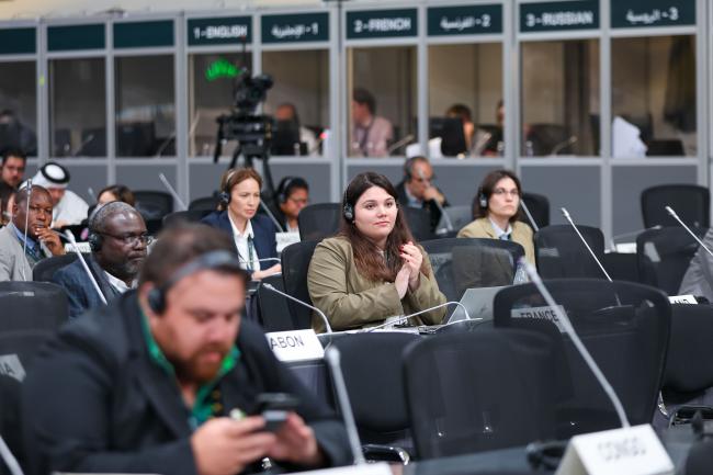 Delegates during CRIC 