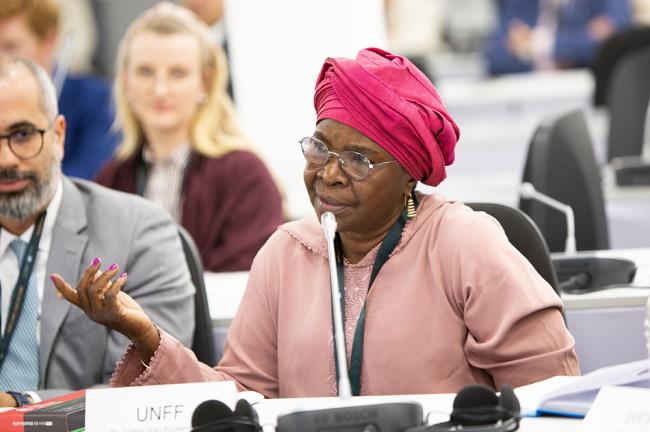 Juliette Biao, Director, UNFF - EMG UNCCD COP16 - 4Dec2024