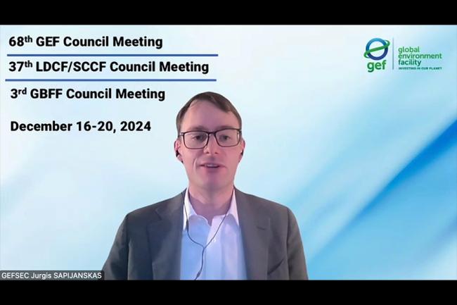 Jurgis Sapijanskas, GEF Secretariat