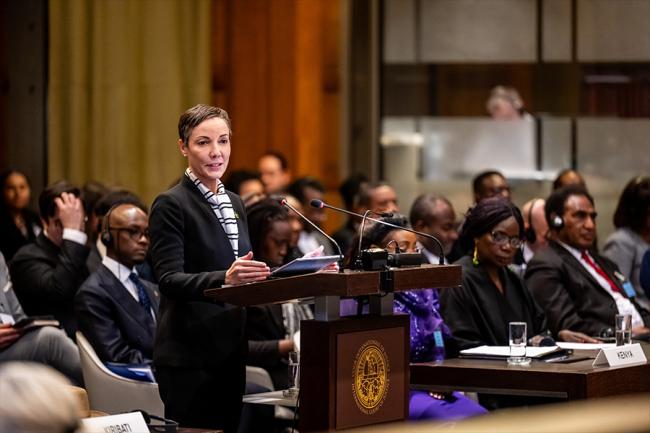 Kamina Johnson Smith, Jamaica (photo by ICJ/CIJ | Frank van Beek)