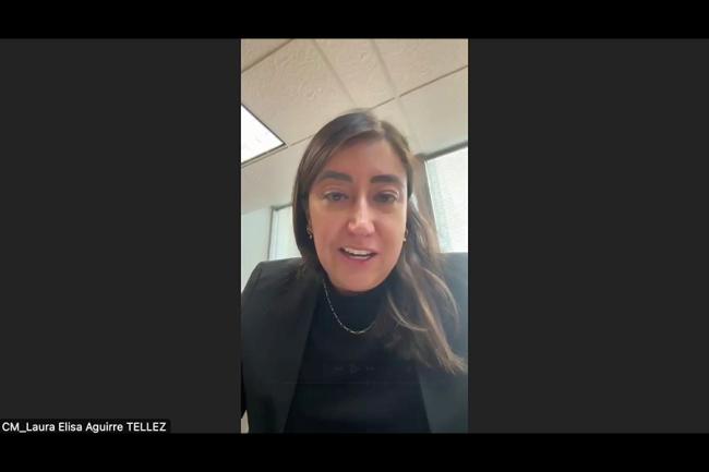 Laura Elisa Aguirre Tellez, Council Member, Mexico