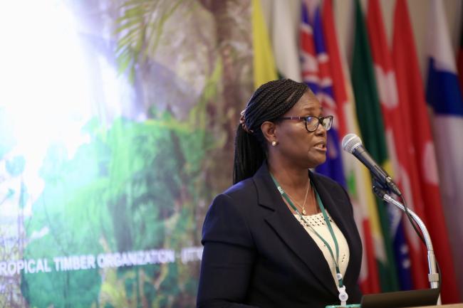 Lucy Amissah, CSIR-Forestry Research Institute, Ghana