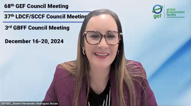 Noemi Hernández Rodríguez Borjas, Council Secretary, GEF Secretariat
