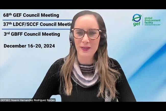 Noemi Hernández Rodríguez Borjas, Council Secretary, GEF Secretariat