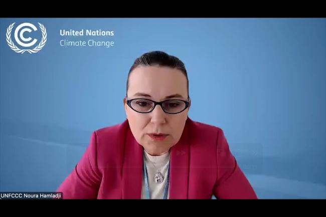 Noura Hamladji, Deputy Executive Secretary, UN Framework Convention on Climate Change (UNFCCC)