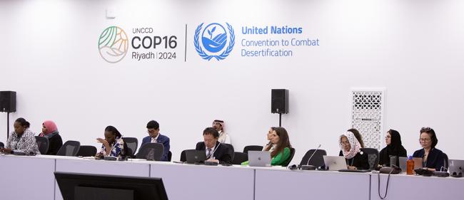 Participants - - Governance in Drylands - UNCCD COP16 - 6Dec2024