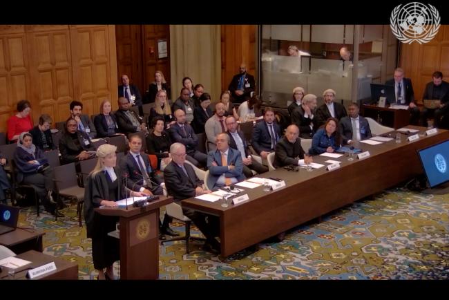 Participants stand at the beginning of the second day of the ICJ hearings