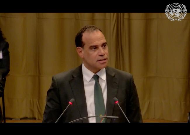 Ralph Regenvanu, Special Envoy for Climate Change and Environment, Vanuatu