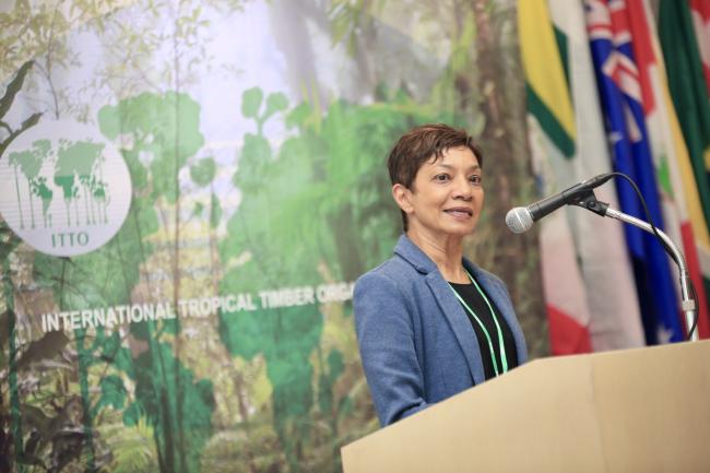 Sheam Satkuru, ITTO Executive Director