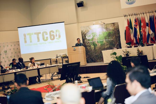 Delegates listen to the presentation by Sheam Satkuru, ITTO Executive Director