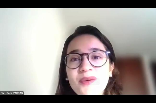 Sofia Vargas Lozada, Council Member, Colombia