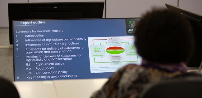 Summary for decusion makers - Agriculture and Conservation - IUCN Report - UNCCD COP16 - 5Dec2024