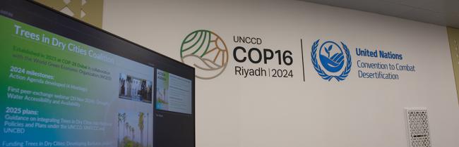 Trees un Dry Cities - Rethinking Urban Landscapes - UNEP - UNCCD COP16 - 6 Nov