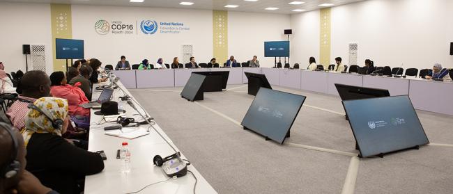 View of the room - Locally led landscape management - GEF SGP - UNCCD COP16 - 7Dec2024