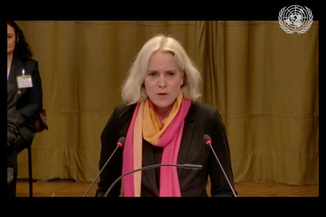 Wiebke Rückert, Director for Public International Law, Federal Foreign Office, Germany - - Wiebke Rückert, Director for Public International Law, Federal Foreign Office, Germany